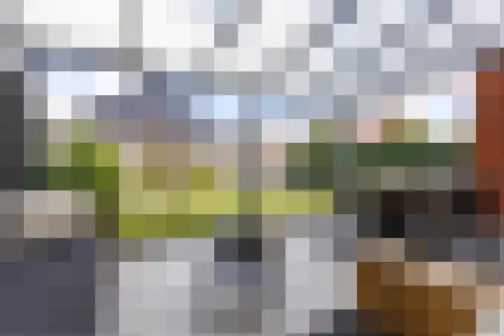 Kuifeend 1 Bedum thumbnail 6