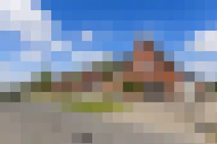 Kuifeend 1 Bedum thumbnail 8