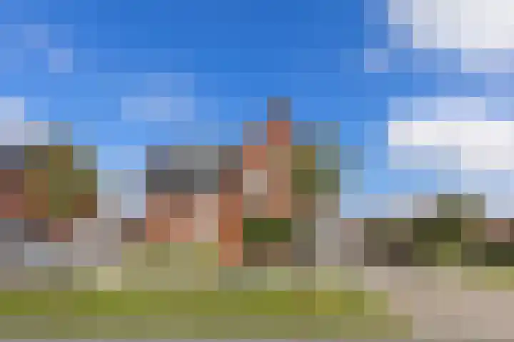 Kuifeend 1 Bedum thumbnail 9