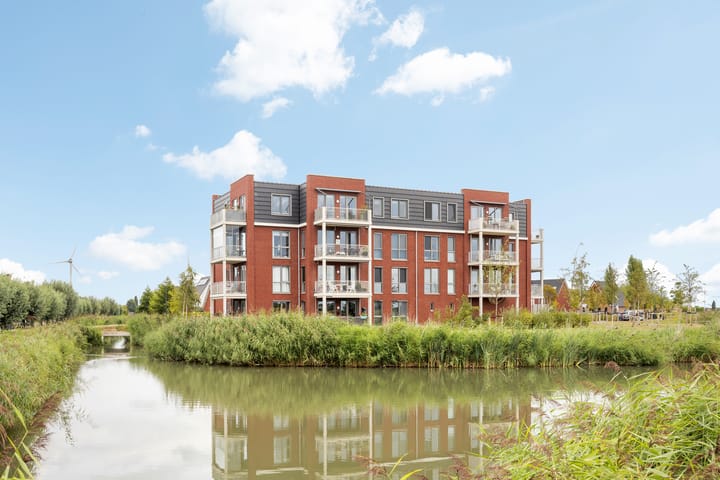 Kuifeend 13 in Piershil photo