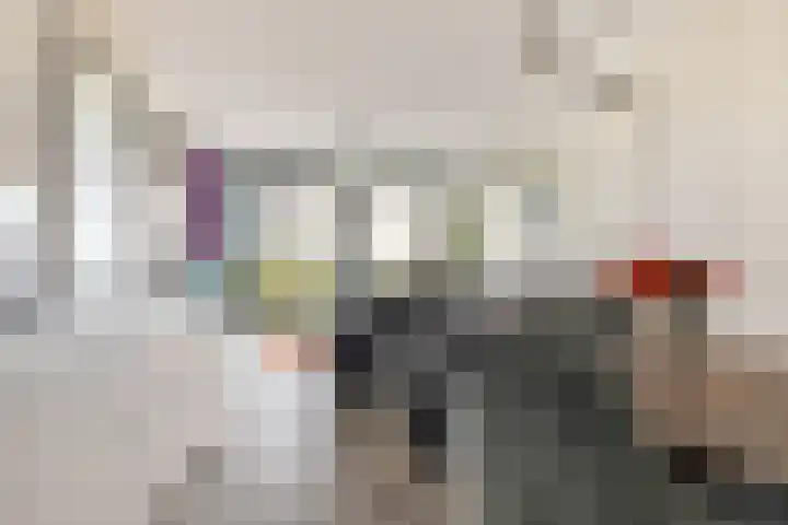 Kuifeend 13 Piershil thumbnail 14