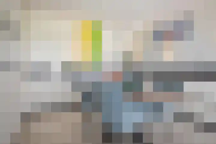 Kuifeend 13 Piershil thumbnail 15