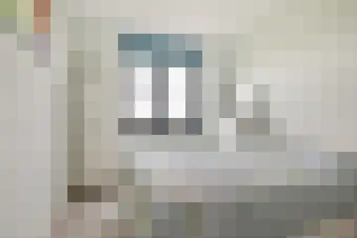 Kuifeend 13 Piershil thumbnail 17