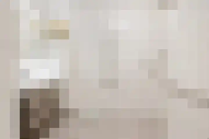 Kuifeend 13 Piershil thumbnail 19