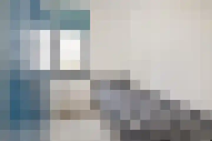 Kuifeend 13 Piershil thumbnail 21
