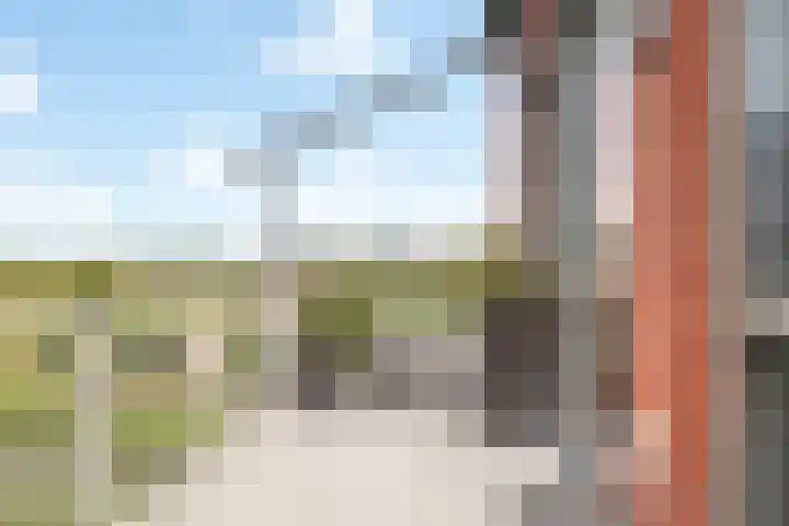 Kuifeend 13 Piershil thumbnail 23
