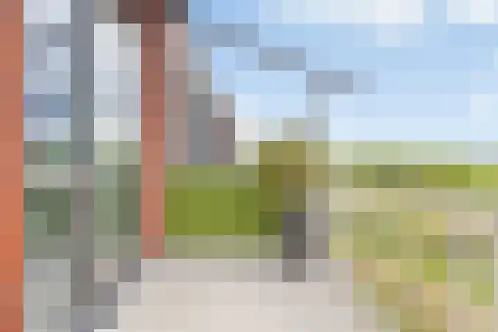 Kuifeend 13 Piershil thumbnail 24