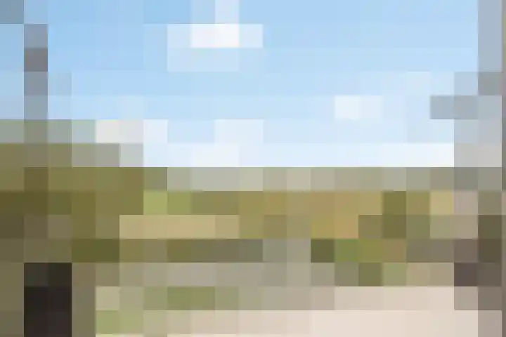 Kuifeend 13 Piershil thumbnail 25