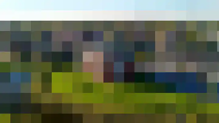 Kuifeend 13 Piershil thumbnail 28