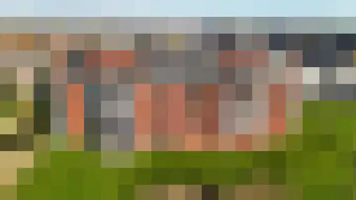 Kuifeend 13 Piershil thumbnail 29