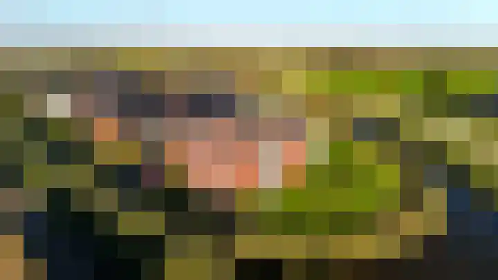 Kuifeend 13 Piershil thumbnail 30