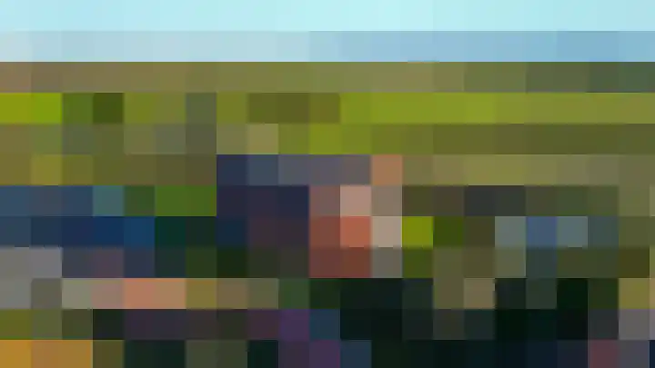 Kuifeend 13 Piershil thumbnail 31