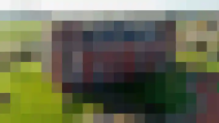 Kuifeend 13 Piershil thumbnail 32