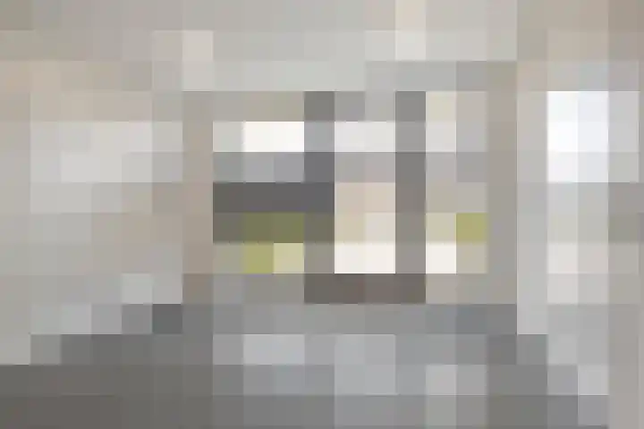 Kuifeend 13 Piershil thumbnail 4