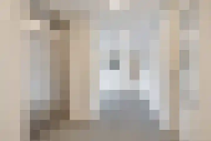 Kuifeend 13 Piershil thumbnail 5