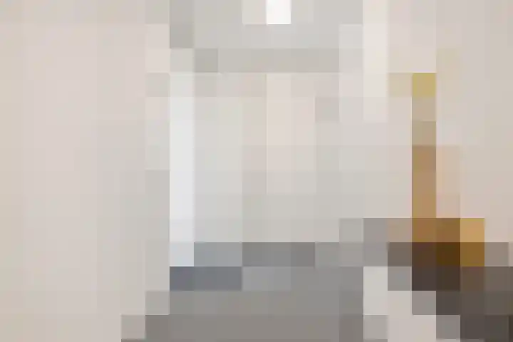Kuifeend 13 Piershil thumbnail 7
