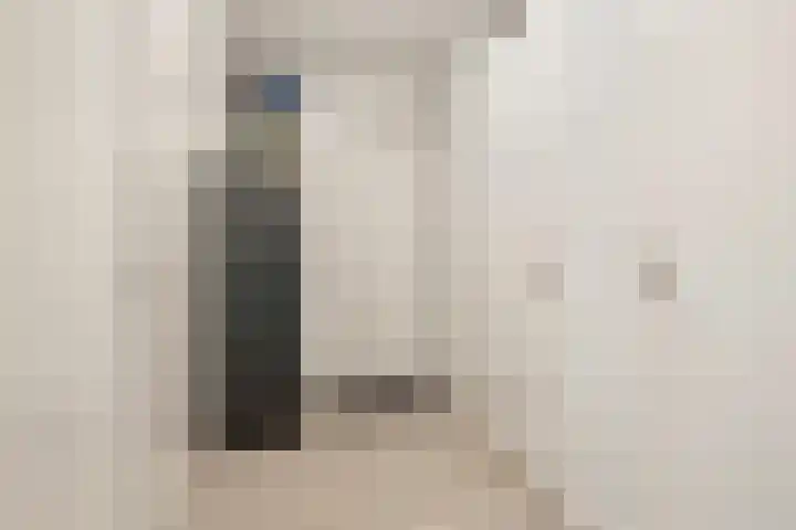 Kuifeend 13 Piershil thumbnail 8