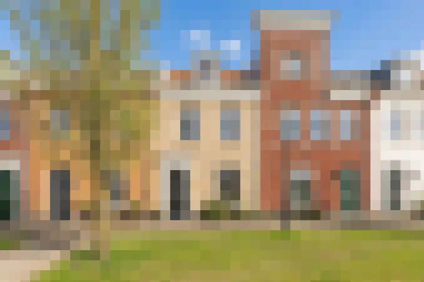 Kuifeend 14 Culemborg