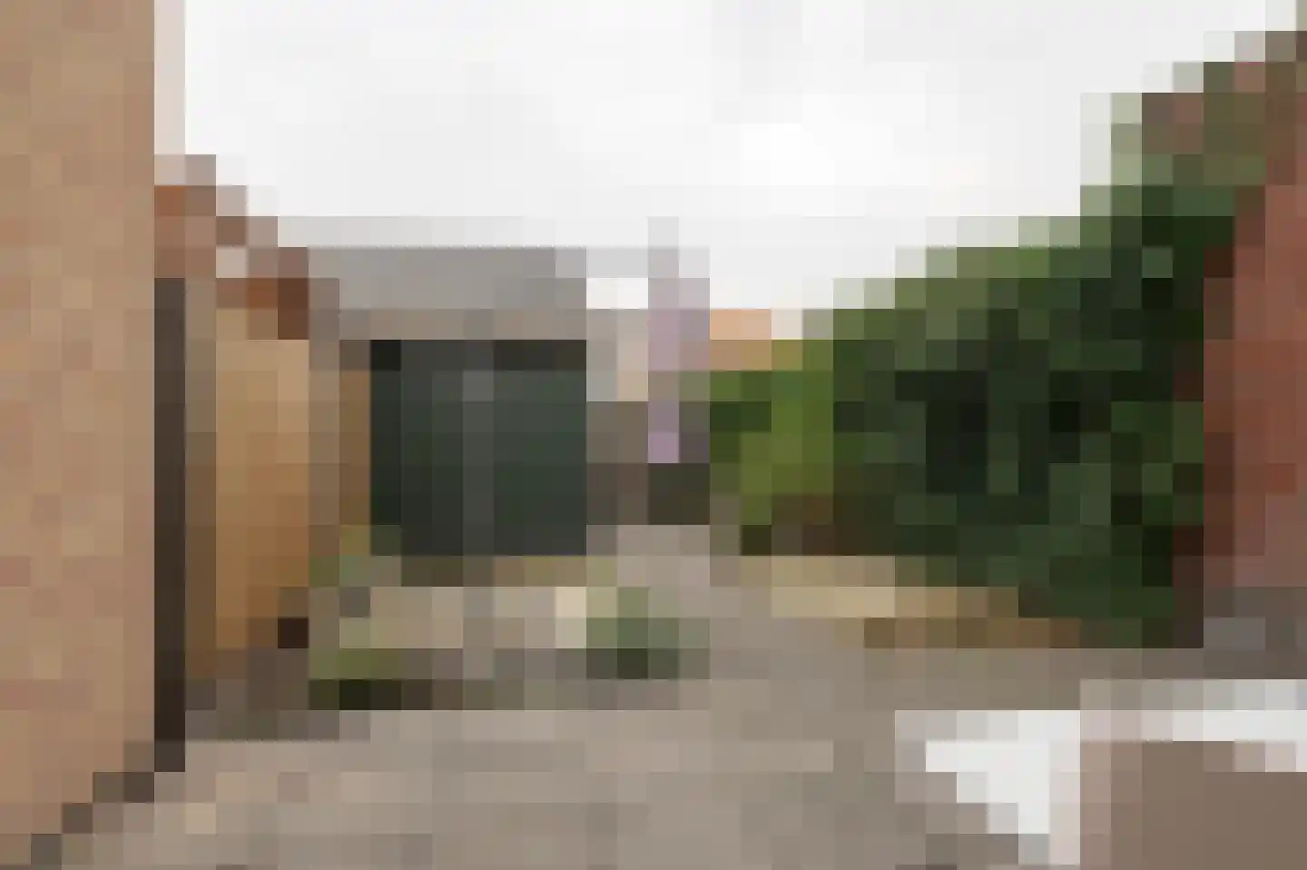 Kuifeend 14 Culemborg thumbnail 14