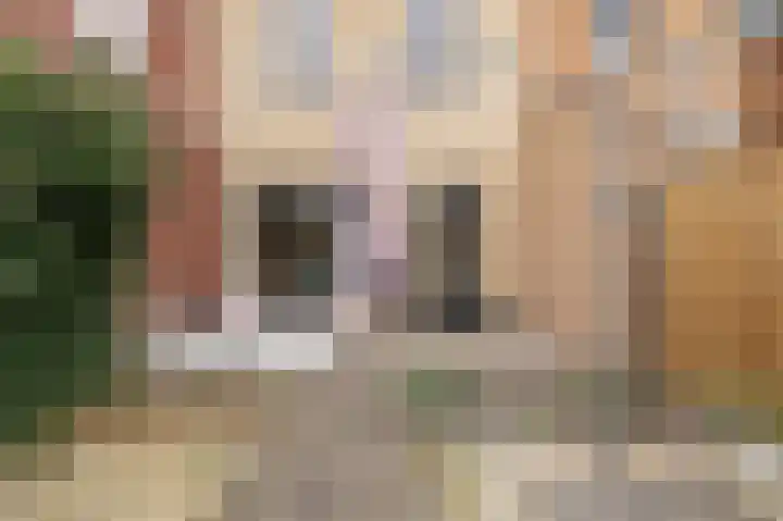 Kuifeend 14 Culemborg thumbnail 17