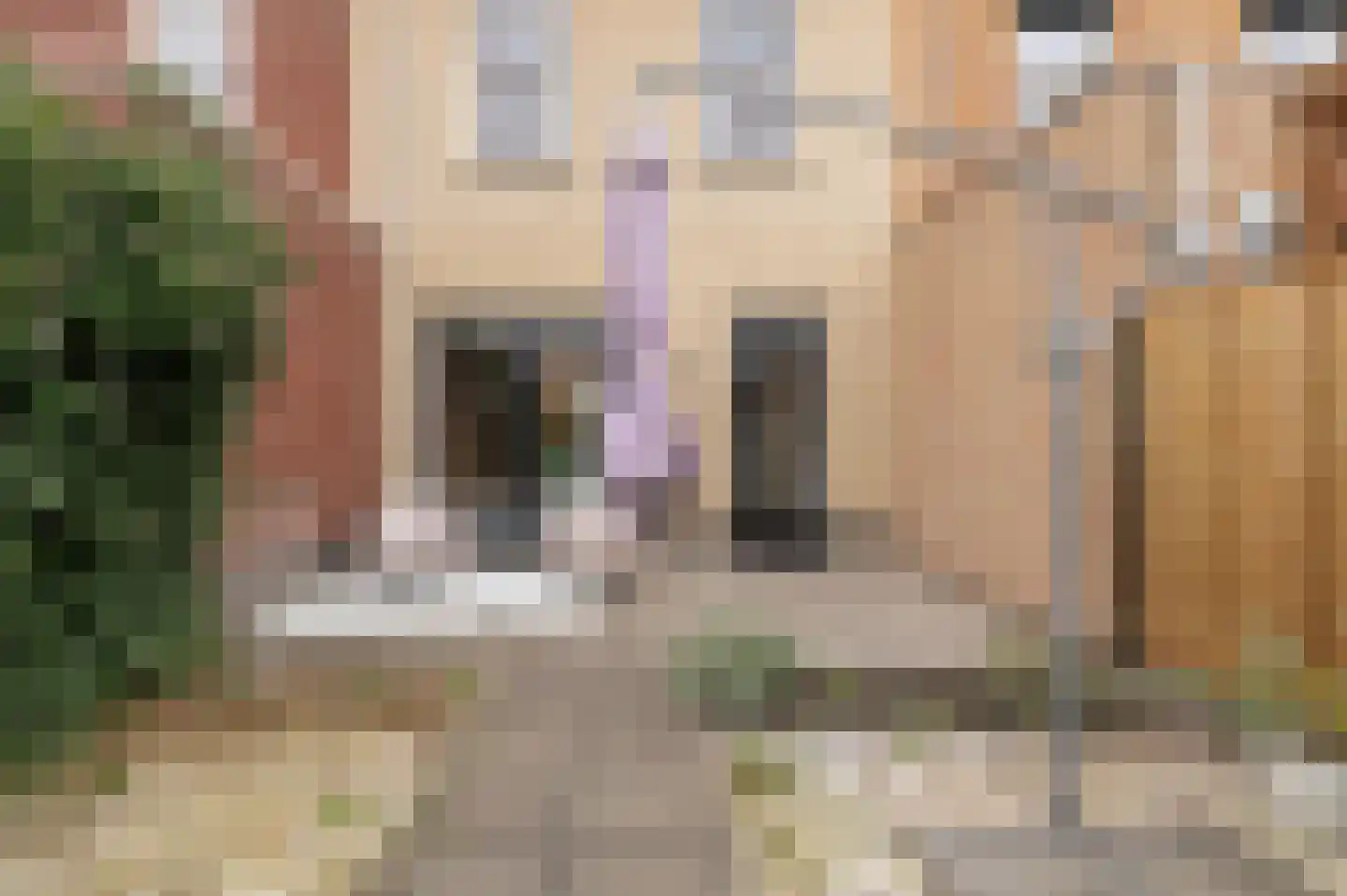Kuifeend 14 Culemborg thumbnail 17