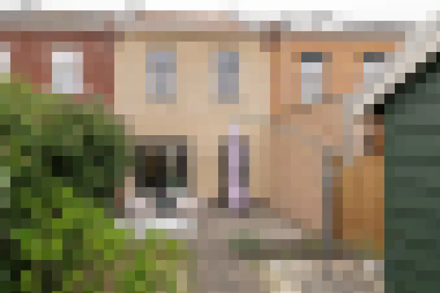 Kuifeend 14 Culemborg thumbnail 18