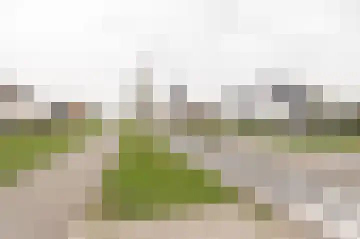 Kuifeend 14 Culemborg thumbnail 33
