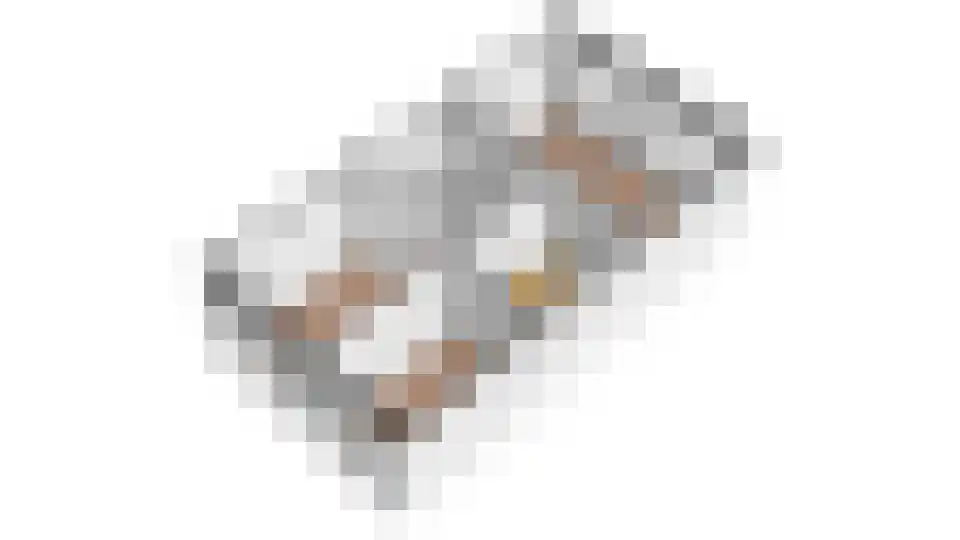 Kuifeend 14 Culemborg thumbnail 38