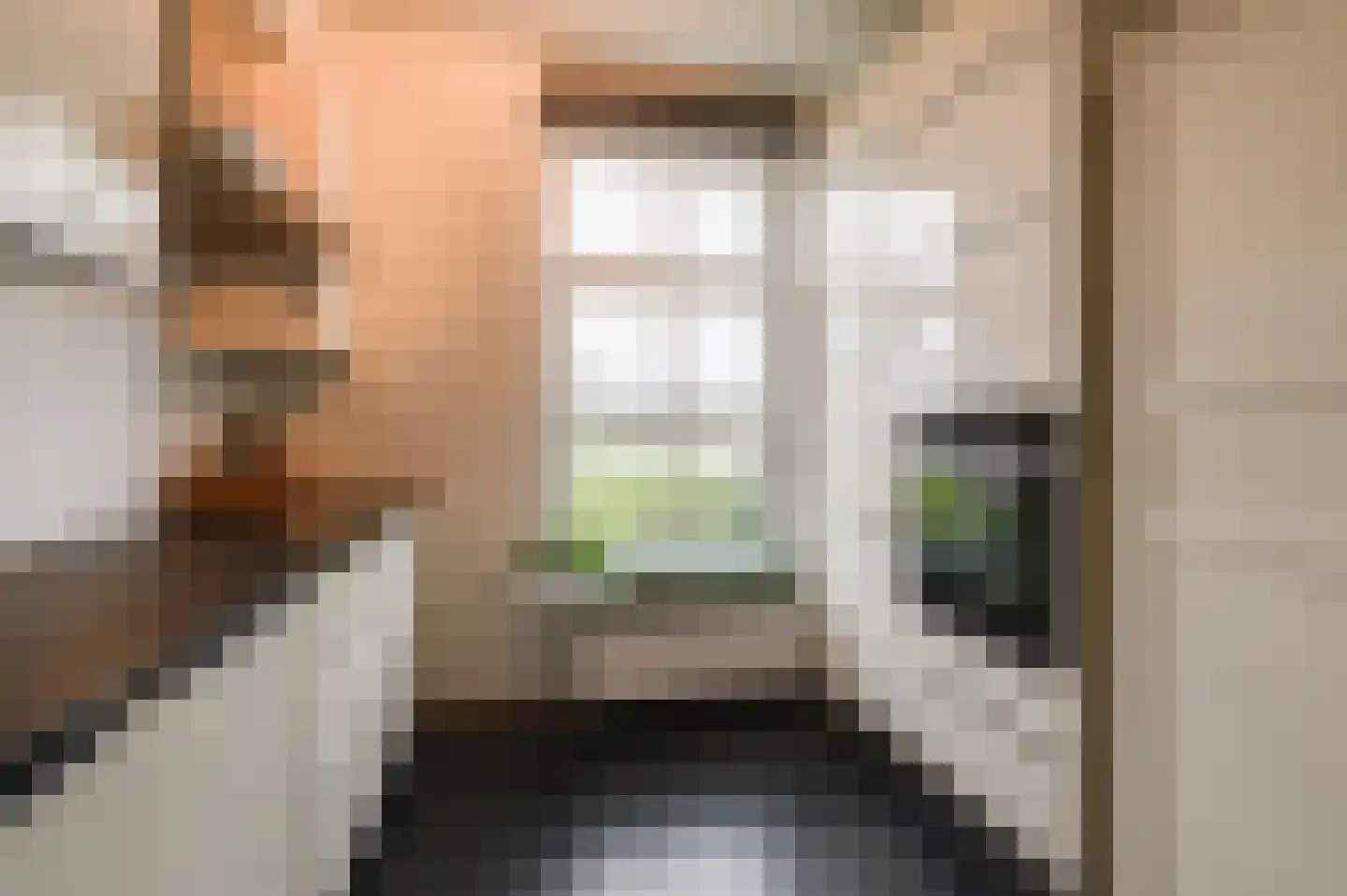 Kuifeend 14 Culemborg thumbnail 4