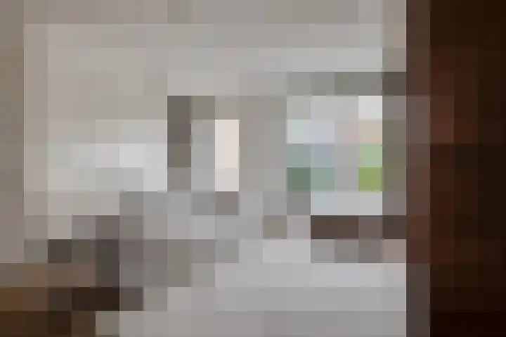 Kuifeend 14 Culemborg thumbnail 7