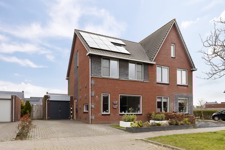 Kuifeend 17 in Bedum Foto