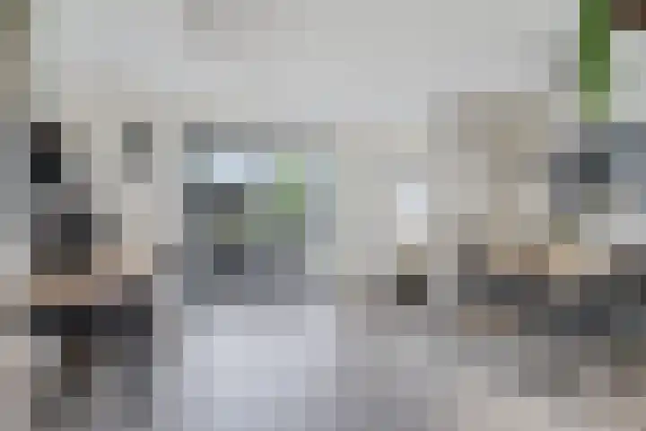 Kuifeend 19 Emmen thumbnail 10