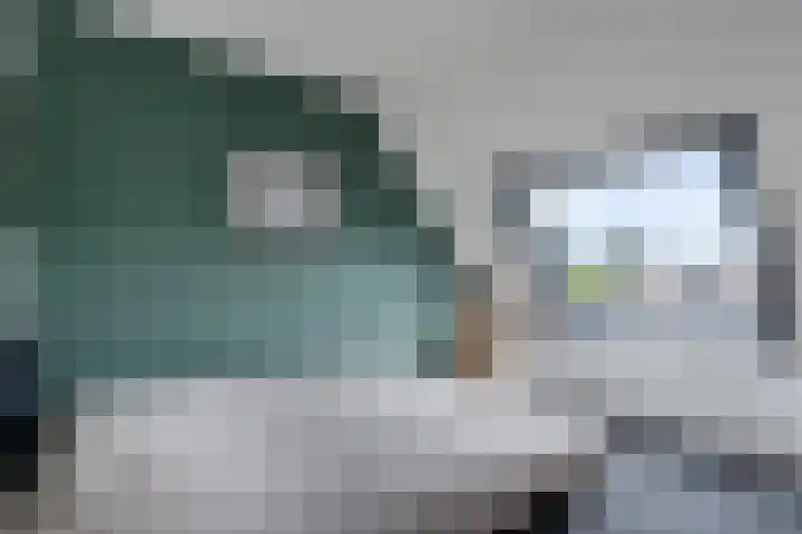 Kuifeend 19 Emmen thumbnail 18