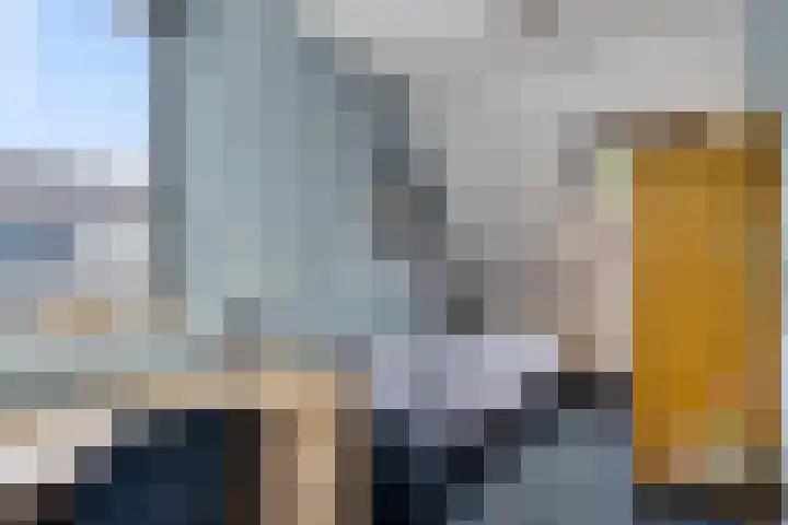 Kuifeend 19 Emmen thumbnail 20