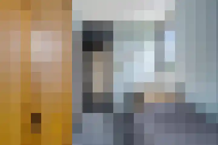 Kuifeend 19 Emmen thumbnail 21