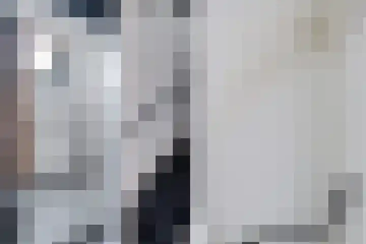 Kuifeend 19 Emmen thumbnail 24