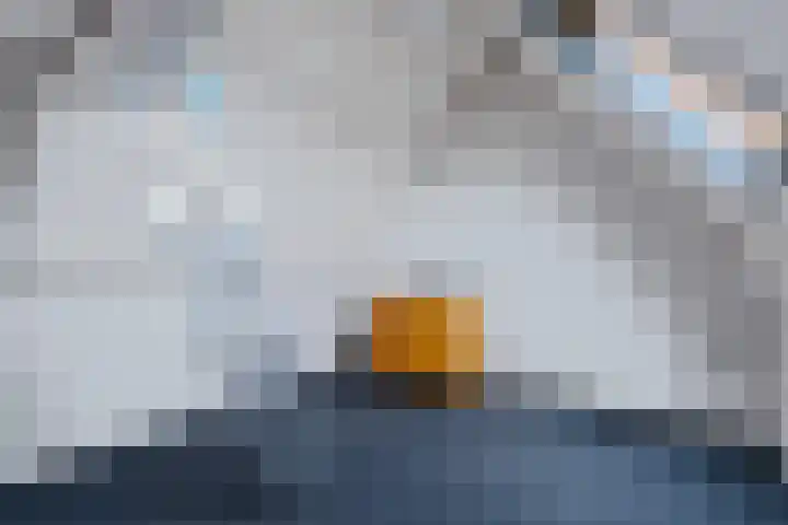Kuifeend 19 Emmen thumbnail 25