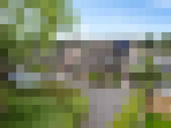 Kuifeend 19 Emmen thumbnail 27