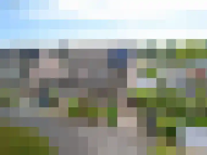 Kuifeend 19 Emmen thumbnail 28