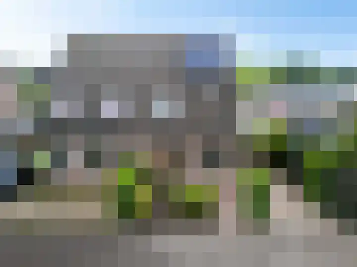 Kuifeend 19 Emmen thumbnail 29