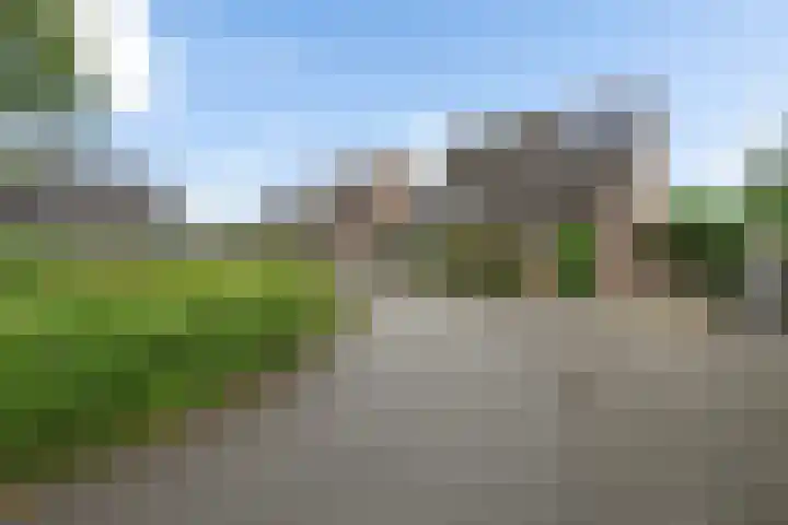 Kuifeend 19 Emmen thumbnail 30