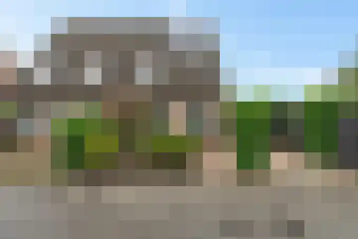 Kuifeend 19 Emmen thumbnail 31