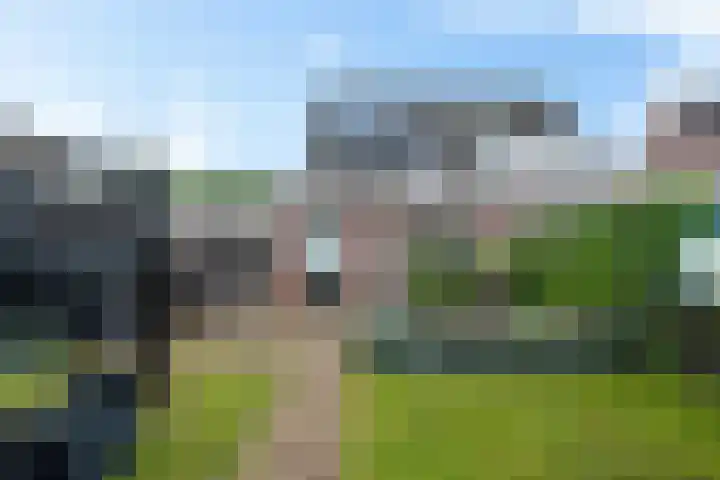 Kuifeend 19 Emmen thumbnail 33