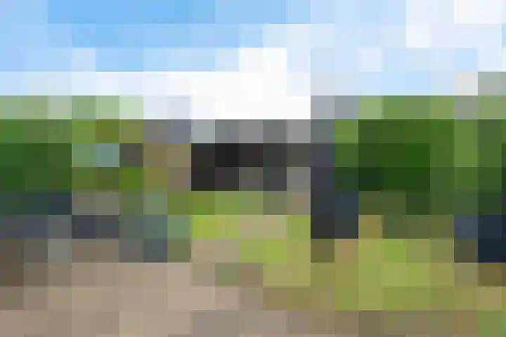 Kuifeend 19 Emmen thumbnail 34