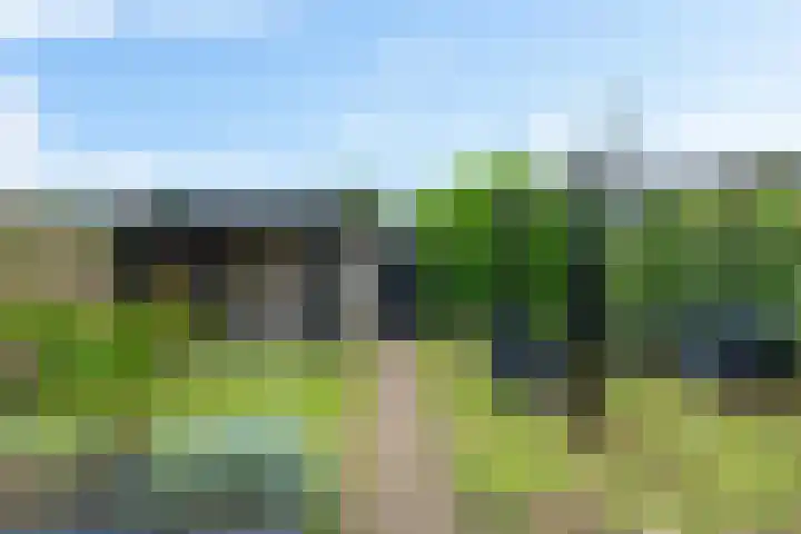 Kuifeend 19 Emmen thumbnail 35