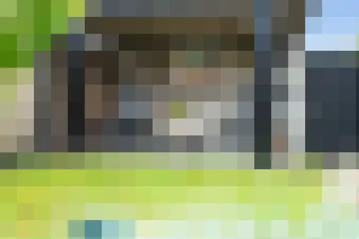 Kuifeend 19 Emmen thumbnail 36