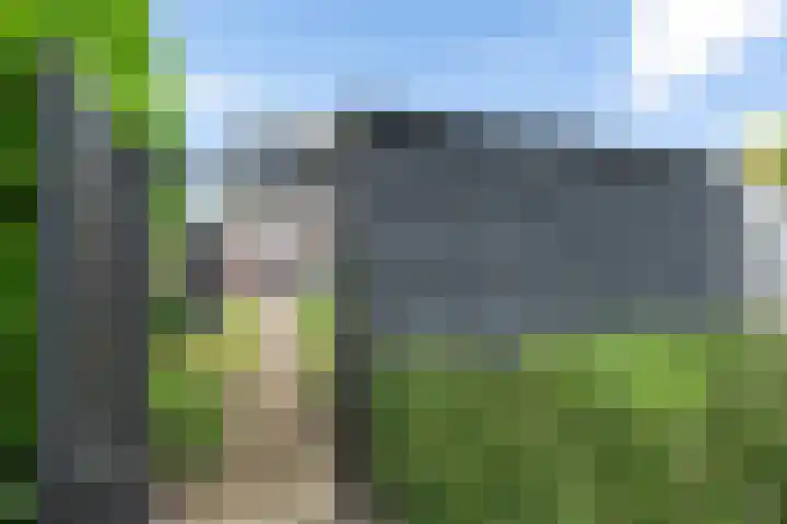 Kuifeend 19 Emmen thumbnail 37