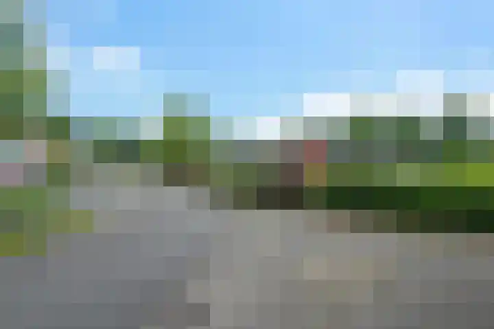 Kuifeend 19 Emmen thumbnail 38