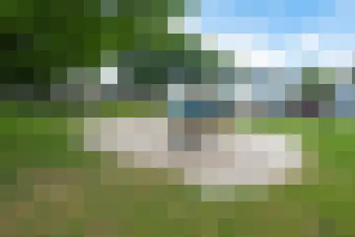 Kuifeend 19 Emmen thumbnail 39