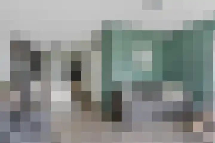 Kuifeend 19 Emmen thumbnail 5